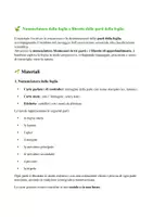 anteprima - Altro tipo di materiale - Percorso per piccoli botanici; nomenclatura foglia + libretto per l'ampliamento - Pagina 1
