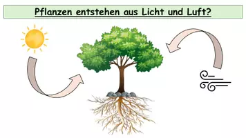 Vorschau - Stundenentwürfe - Photosynthese - Umfangreiches Unterrichtsmaterial zum Sparpreis! - Seite 3
