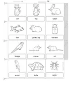 anteprima - Esercizi - Englisch - Pets - picture dictionary - Pagina 2