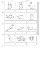 anteprima - Esercizi - Englisch - Pets - picture dictionary - Pagina 3