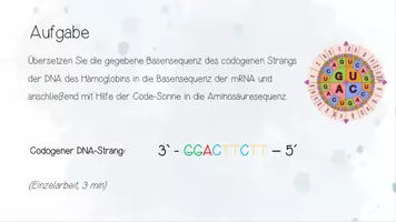 Vorschau - Unterrichtsreihen - Genetik: Genmutationen und Reparaturmechanismen | Biologie 12 | 3 fertige Unterrichtsstunden | sofort einsetzbar - Seite 2
