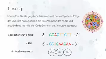 Vorschau - Unterrichtsreihen - Genetik: Genmutationen und Reparaturmechanismen | Biologie 12 | 3 fertige Unterrichtsstunden | sofort einsetzbar - Seite 3