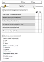 Vorschau - Arbeitsblätter - Wheat Food Englisch Lesetext mit Richtig Falsch-, Multiple-Choice- und Offenen Fragen (Englisch Arbeitsblatt) - Seite 2