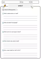 Vorschau - Arbeitsblätter - Wheat Food Englisch Lesetext mit Richtig Falsch-, Multiple-Choice- und Offenen Fragen (Englisch Arbeitsblatt) - Seite 3