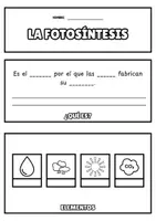 Vista previa - Hojas de trabajo - LA FOTOSÍNTESIS FLIPBOOK - Portada