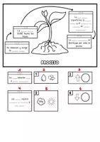 Vista previa - Hojas de trabajo - LA FOTOSÍNTESIS FLIPBOOK - página 1