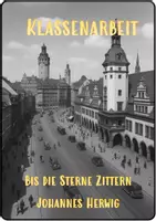Vorschau - Test - Klassenarbeit zum Roman "Bis die Sterne zittern" - Deckblatt