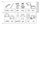 anteprima - Esercizi - English - Adjectives opposites - picture dictionary - Pagina 3