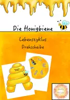 Vorschau - Mal- und Bastelvorlagen - Drehscheibe - Lebenszyklus der Biene SW/FARBE - Deckblatt