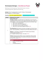 Vorschau - Stundenentwürfe - Materialpaket "Vom Biss zur Power" - Biologie - VOLLSTÄNDIG - Seite 1