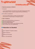Vorschau - Arbeitsblätter - 📒 Projektarbeit leicht gemacht_Umsetzungshilfen und Arbeitsmaterialien Klasse 5-10 - Seite 2