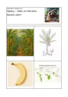 Vorschau - Arbeitsblätter - Mystery – Haben wir bald keine Bananen mehr? - Deckblatt