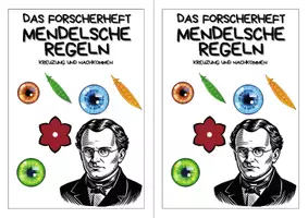 Vorschau - Arbeitsblätter - Materialpaket - Der Mensch - Stefan Welles - Seite 3