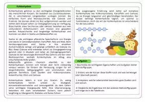 Vorschau - Stundenentwürfe - Gruppenpuzzle Nährstoffe (Kohlenhydate, Proteine, Fette & Mikronährstoffe) - Seite 1