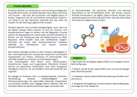 Vorschau - Stundenentwürfe - Gruppenpuzzle Nährstoffe (Kohlenhydate, Proteine, Fette & Mikronährstoffe) - Seite 2