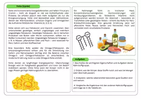Vorschau - Stundenentwürfe - Gruppenpuzzle Nährstoffe (Kohlenhydate, Proteine, Fette & Mikronährstoffe) - Seite 3
