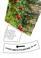 Vorschau - Bildkarten - Legekreis Mensch & Umwelt – Entwicklung des menschlichen Einflusses auf die Natur - Seite 2
