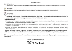 Vista previa - Presentaciones - CEREBRO AL VOLANTE - MANEJANDO EMOCIONES E IMPULSOS - página 2