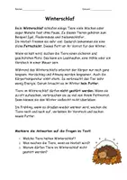 Vorschau - Arbeitsblätter - Tiere im Winter: Winterschlaf, Winterruhe, Winterstarre - Seite 1