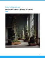 Vorschau - Unterrichtsreihen - Unterrichtsmaterial: Stockwerke des Waldes – Biologie Sek I - Deckblatt