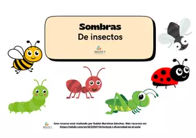 Vista previa - Tarjetas / Manipulativos - 🪲 Mini Carpeta TEACCH – Sombras de Insectos | Emparejamiento y percepción visual - Portada