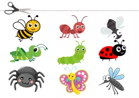 Vista previa - Tarjetas / Manipulativos - 🪲 Mini Carpeta TEACCH – Sombras de Insectos | Emparejamiento y percepción visual - página 2