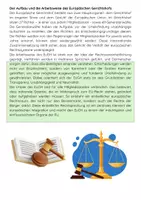 Vorschau - Arbeitsblätter - Der Europäische Gerichtshof: EU-Recht, Aufgaben, Aufbau, Verfahren - Seite 3