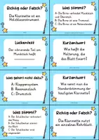 Vorschau - Quiz - Klarinette – 24 Quizkarten | Musik & Instrumentenkunde - Seite 1