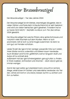 Vorschau - Arbeitsblätter - Der Braunbrustigel- ein Sachtext zum Hören und Verstehen - Seite 1
