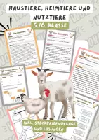 Vorschau - Arbeitsblätter - Haustiere, Nutztiere und Heimtiere | Unterrichtsreihe "Tiere in unserem Umfeld", Biologie 5./6. Klasse - Deckblatt