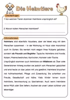 Vorschau - Arbeitsblätter - Haustiere, Nutztiere und Heimtiere | Unterrichtsreihe "Tiere in unserem Umfeld", Biologie 5./6. Klasse - Seite 3