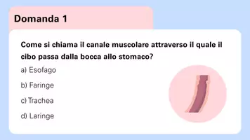 anteprima - Giochi - Quiz di ripasso sul Sistema Digerente - Pagina 1