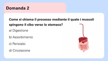 anteprima - Giochi - Quiz di ripasso sul Sistema Digerente - Pagina 3