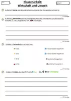 Vorschau - Test - Klassenarbeit Wirtschaft und Umwelt (+ LE Version und Erwartungshorizont) - Seite 3