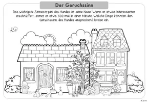 Vorschau - Unterrichtsreihen - Hunde: Die Sinne des Hundes (Arbeitsblätter & Tafelmaterial) - Seite 1