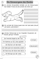 Vorschau - Unterrichtsreihen - Hunde: Die Sinne des Hundes (Arbeitsblätter & Tafelmaterial) - Seite 3