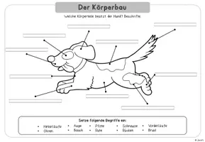 Vorschau - Unterrichtsreihen - Hunde: Aussehen & Rassen (Arbeitsblätter, Tafelmaterial, Domino, Klammerkarten) - Seite 2