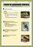 Vorschau - Arbeitsblätter - Tiere in unserem Umfeld- Aufgaben zum Anwenden und Vertiefen | Unterrichtsreihe "Tiere in unserem Umfeld", Biologie 5./6. Klasse - Seite 2