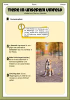 Vorschau - Arbeitsblätter - Tiere in unserem Umfeld- Aufgaben zum Anwenden und Vertiefen | Unterrichtsreihe "Tiere in unserem Umfeld", Biologie 5./6. Klasse - Seite 3