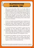 Vorschau - Arbeitsblätter - Billigpreisstrategien chinesischer Onlineshops - Seite 3