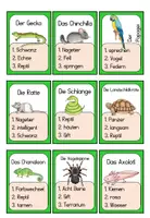 Vorschau - Spiele - Sag es nicht Haustiere Deutsch Spiel - Seite 2