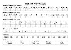 Aperçu - Fiches - Bilans de progrès maternelle PS MS GS (annuel) (synthétique) - Page 1