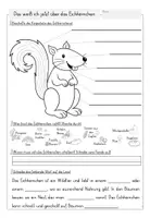 Vorschau - Arbeitsblätter - Eichhörnchen: Lernzielkontrolle⎟Quiz - Seite 2