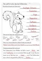 Vorschau - Arbeitsblätter - Eichhörnchen: Lernzielkontrolle⎟Quiz - Seite 3
