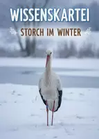 Vorschau - Anderer Materialtyp - Tiere im Winter - Wissenskartei Storch (Vogelzug) - Deckblatt