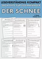 Vorschau - Arbeitsblätter - Der Schnee - Sachtexte für Erstleser | Leseverständnis Klasse 1 & 2 - Deckblatt