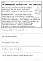 Vorschau - Arbeitsblätter - Tiere im Winter - Sachtexte für Erstleser | Leseverständnis Klasse 1 & 2 - Seite 3