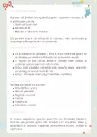 Vista previa - Hojas de trabajo - Calendario de Adviento Educativo 🎄 - página 3