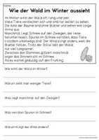 Vorschau - Arbeitsblätter - Winter in der Natur - Sachtexte für Erstleser, Leseverständnis Klasse 1 & 2 - Seite 2