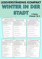 Vorschau - Arbeitsblätter - Winter in der Stadt | Leseverständnis, Klasse 1 & 2 - Deckblatt
